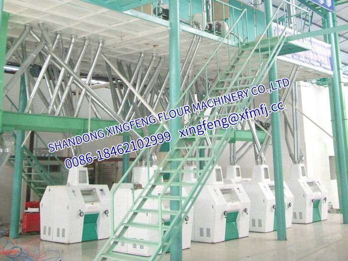 2015面粉厂社会实践报告精选