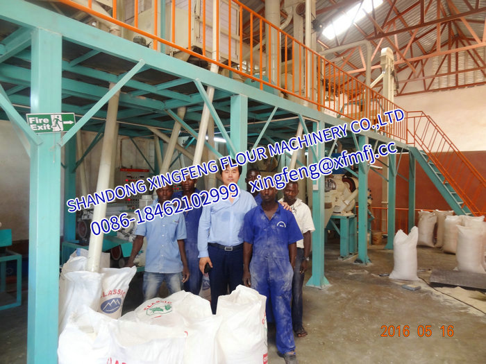 Africa cases-40-52T/24h Corn grits maize flour equipment