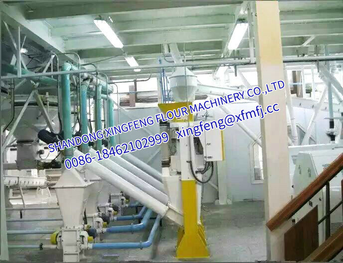 Feed grinding equipment