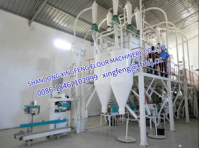 50T Maize/Corn flour maize grits milling machinery