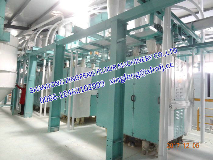 300吨/24h Maize/Corn flour maize grits milling machinery