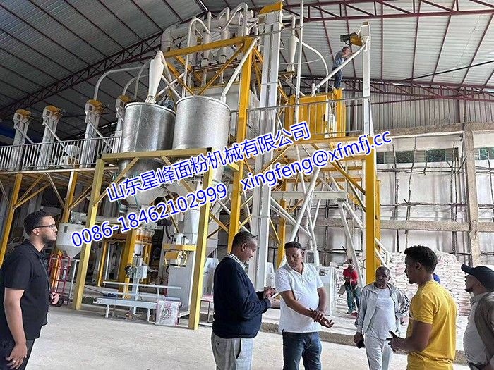 面粉机怎样保持小麦中的营养元素