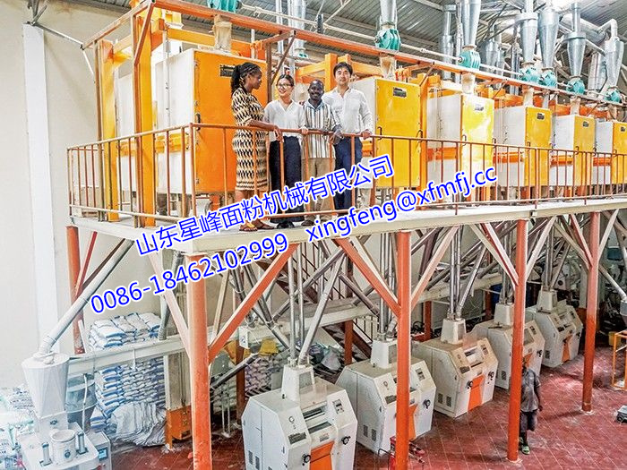 2015面粉厂社会实践报告精选