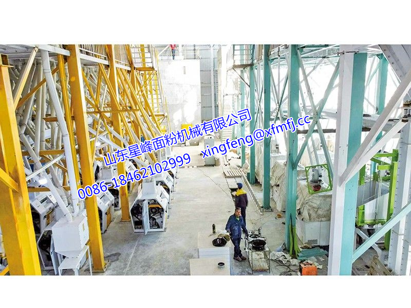 300吨小麦面粉生产线