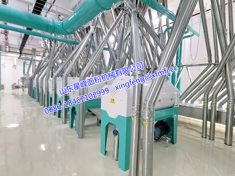 500-1000吨小麦面粉生产线