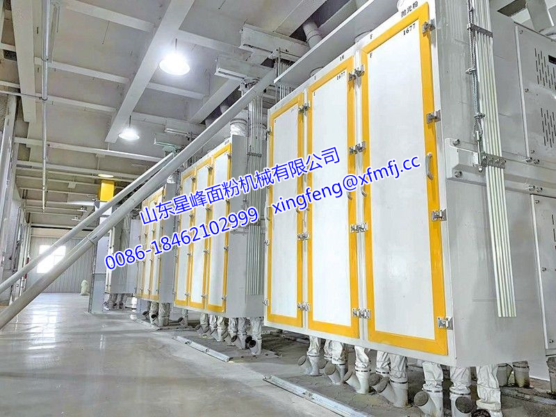 300吨/24h玉米粉（糁）生产线