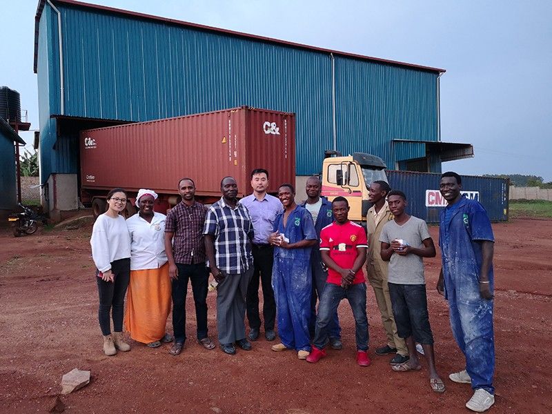 国内外客户案例