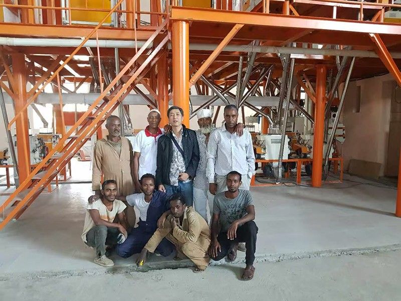 国内外客户案例