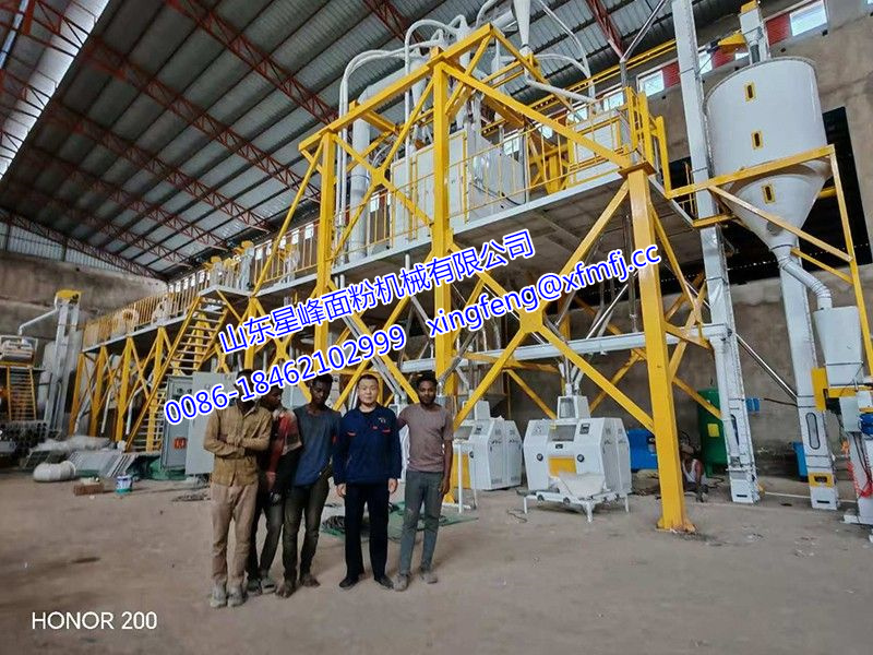 非洲客户案例-40-52T/24h玉米粉生产线