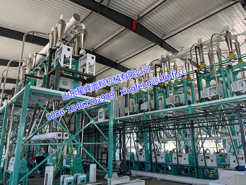 面粉厂社会实践报告精选