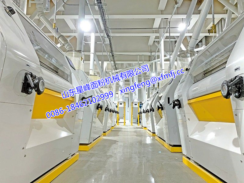 120-150T/24h玉米糁（粉）生产线