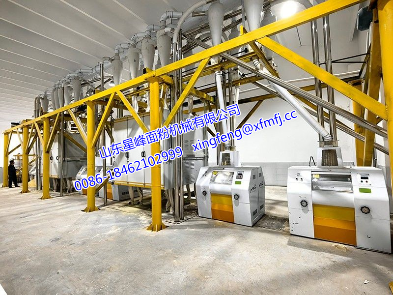 100T/24h玉米糁（粉）生产线