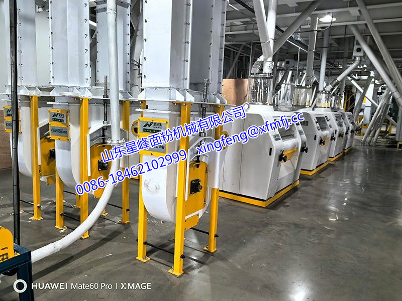 120-150T/24h玉米糁（粉）生产线