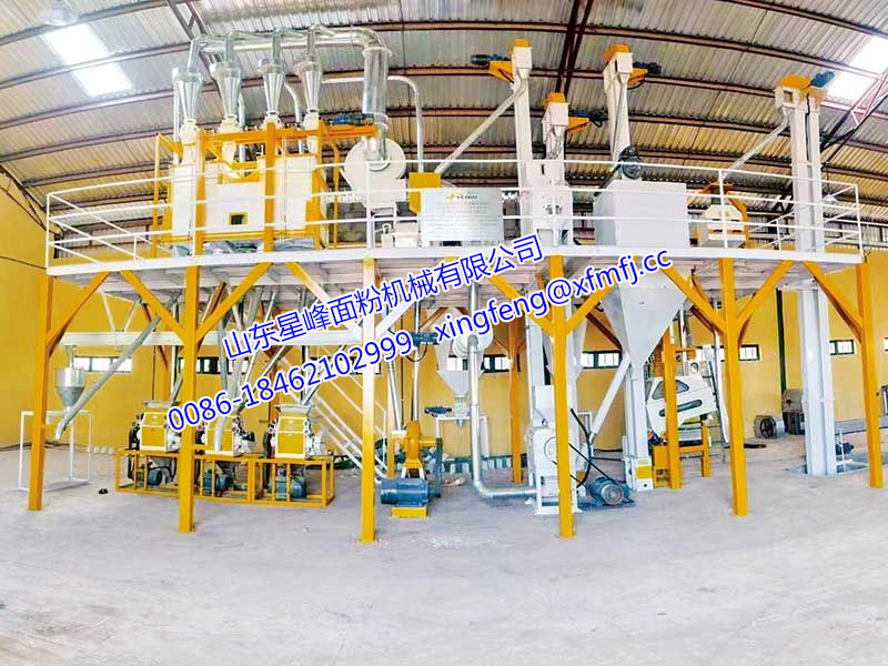 6FTF型20-30T/24h-QGJ  05