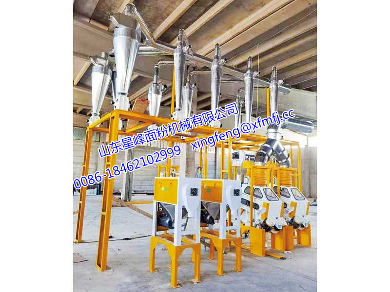 6FTF型20-26T/24h-BGJ